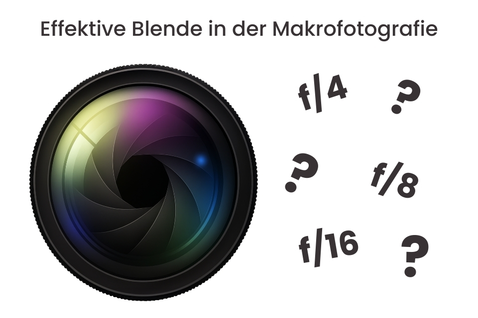 Makrofotografie