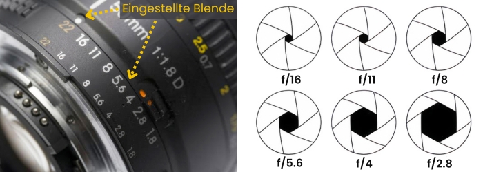 Makrofotografie