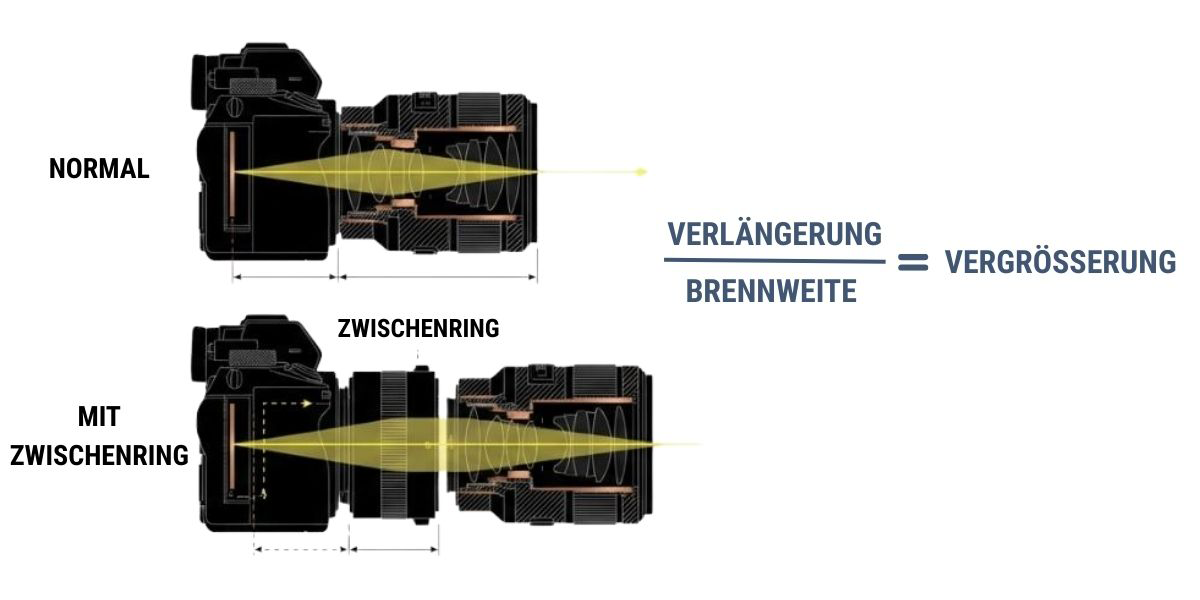 Vergleich der Vergrößerung mit verschiedenen Zwischenring-Längen