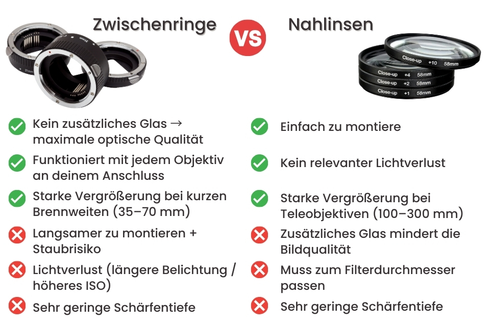 Makro für Einsteiger: Zwischenringe vs. Nahlinsen